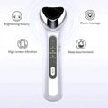 Home Facial Beauty Instrument Maxum